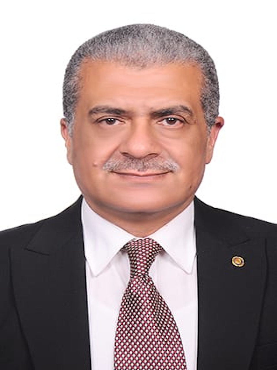 أ.د. إيهاب البديوي